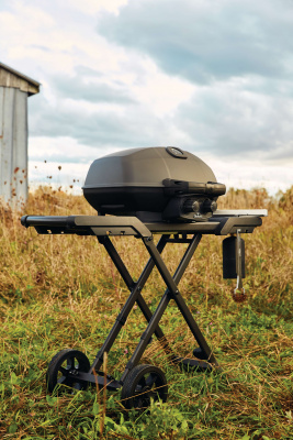 Газовый гриль NAPOLEON Мобильный TravelQ PRO-285X